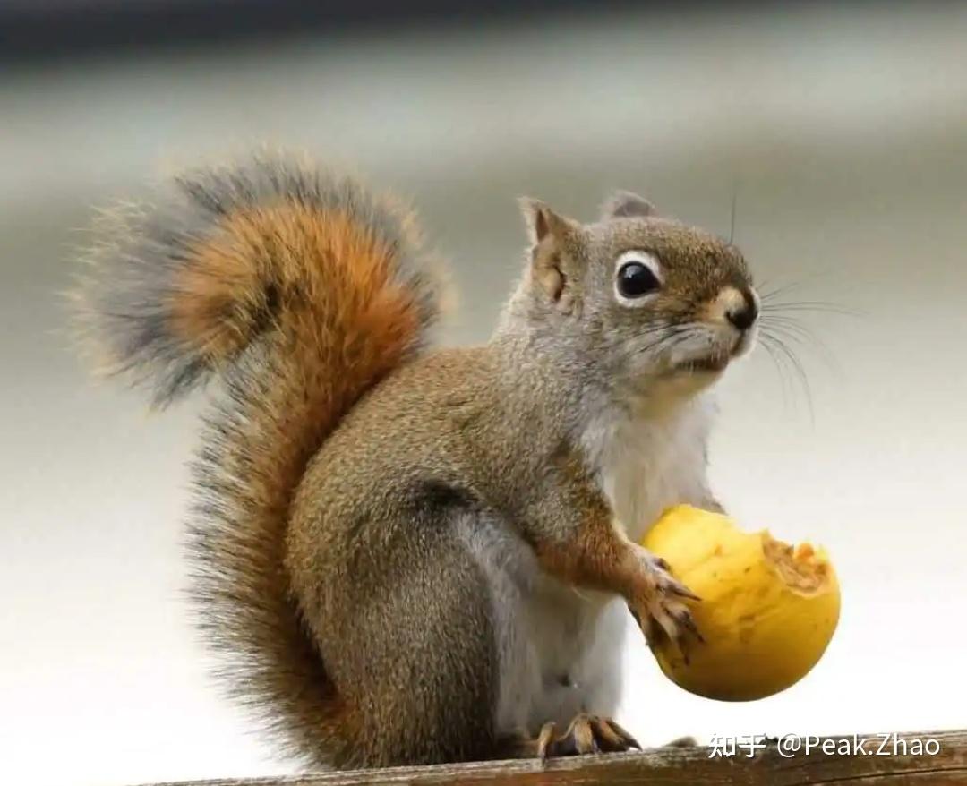 如何用400元实现无限次联系？揭秘低成本通讯的3大避坑指南