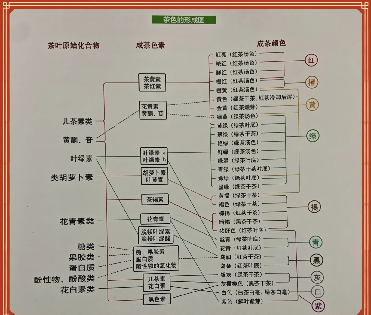 合肥品茶入门指南：从新手到老饕的实用手册