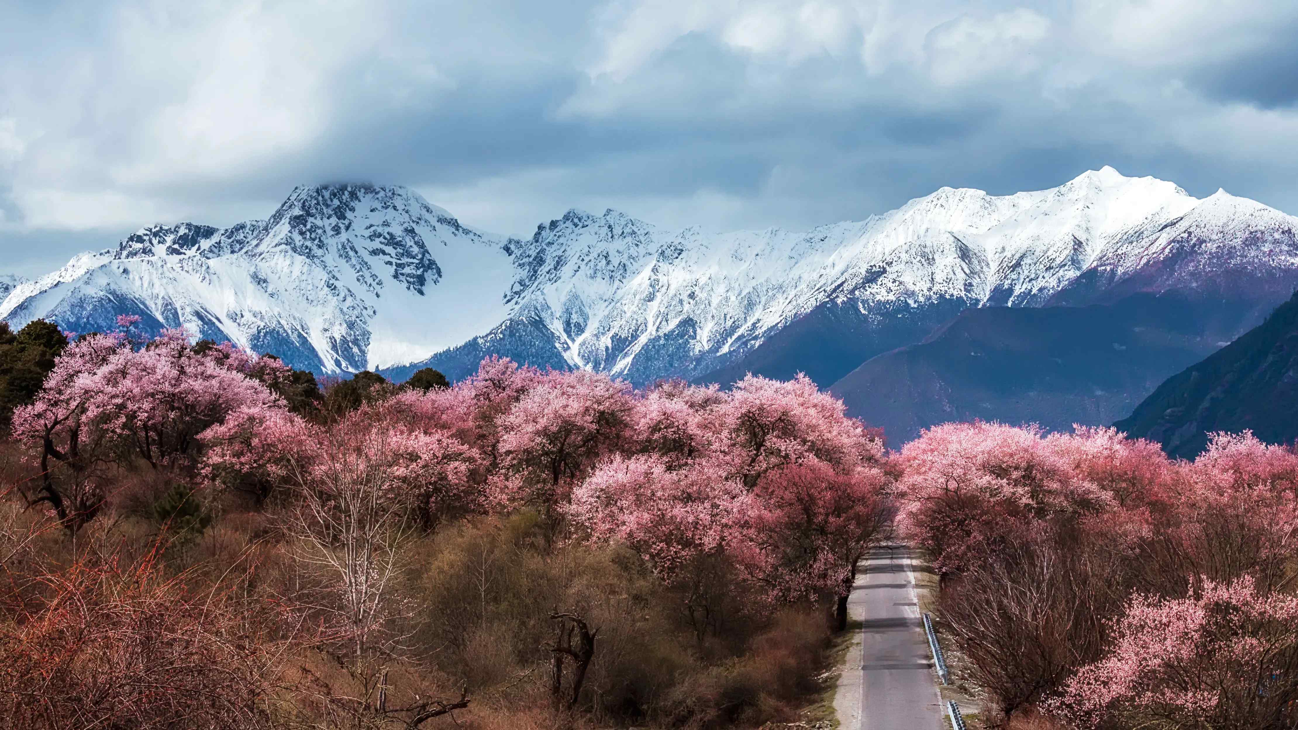 林芝哪里的会所有98——林芝市地理与交通航班详细解析