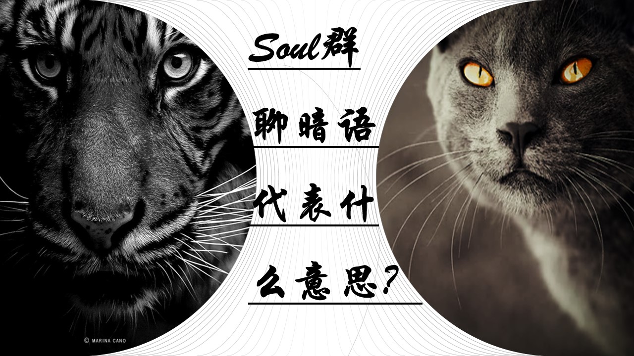 Soul上约的暗号解析,年轻人社交密码的当代演变