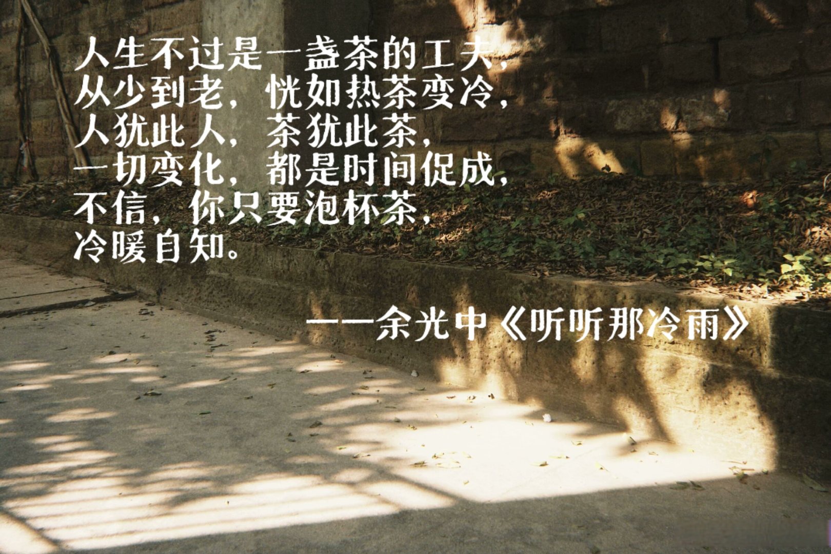 慢煮光阴：武汉品茶工作室的在地美学与商业逻辑新解