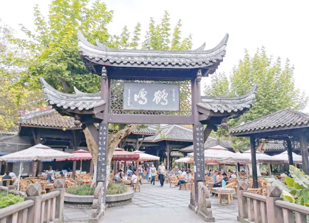 成都与你号品茶探秘,茶香里的慢生活哲学