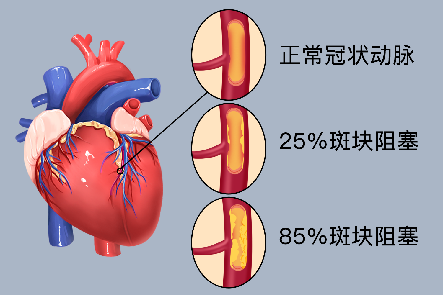 外卖女暗号大全及行业沟通技巧解析