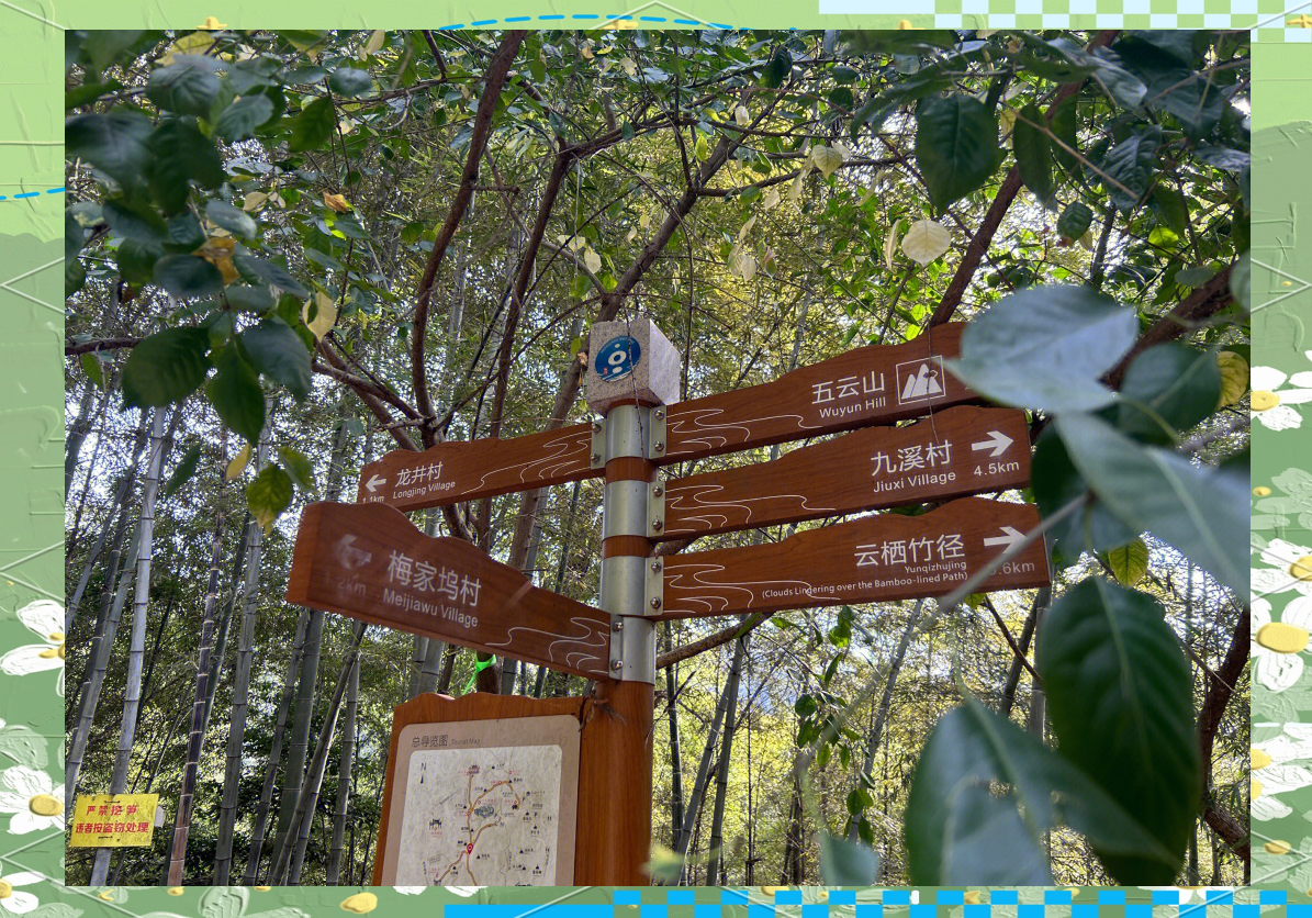 杭州最值得去的15个喝茶好去处推荐和品茶指南