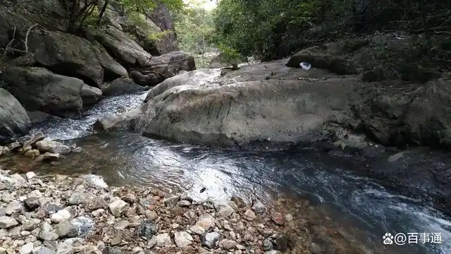 坪山坑梓老街妹子搬迁去哪了_三大数据揭秘搬迁热点