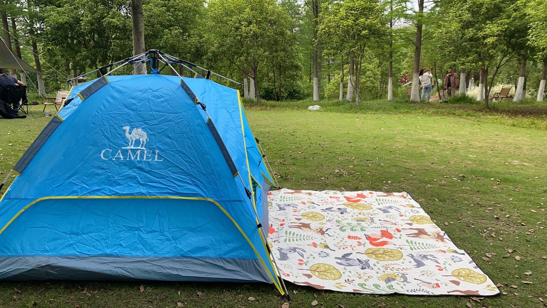 想过夜联系电话的深层逻辑与实践指南,夜间紧急联络的现代解决方案