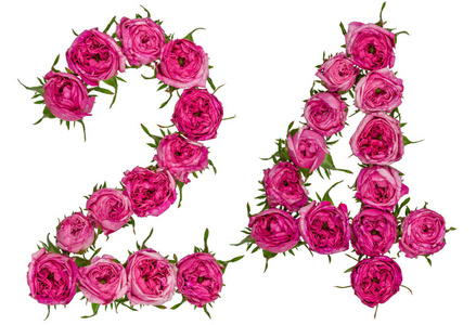 24小时QQ快餐妹免费互助服务解析,深夜需求与安全保障的平衡之道