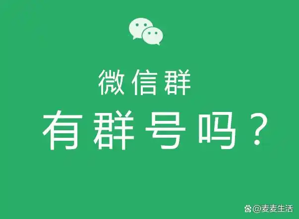 富人微信群二维码的秘密与实用指南