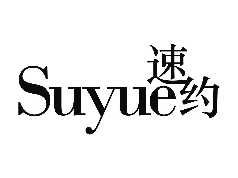 速约到家App是否适合新手使用以及相关服务解析
