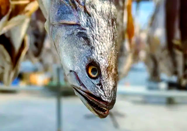 咸鱼上怎么约到靠谱的人？——教你轻松识别靠谱买家与服务