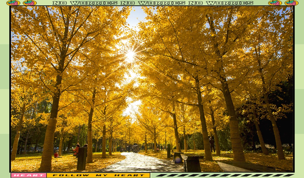 菏泽QQ附近的人上门情况解析及相关资讯分享