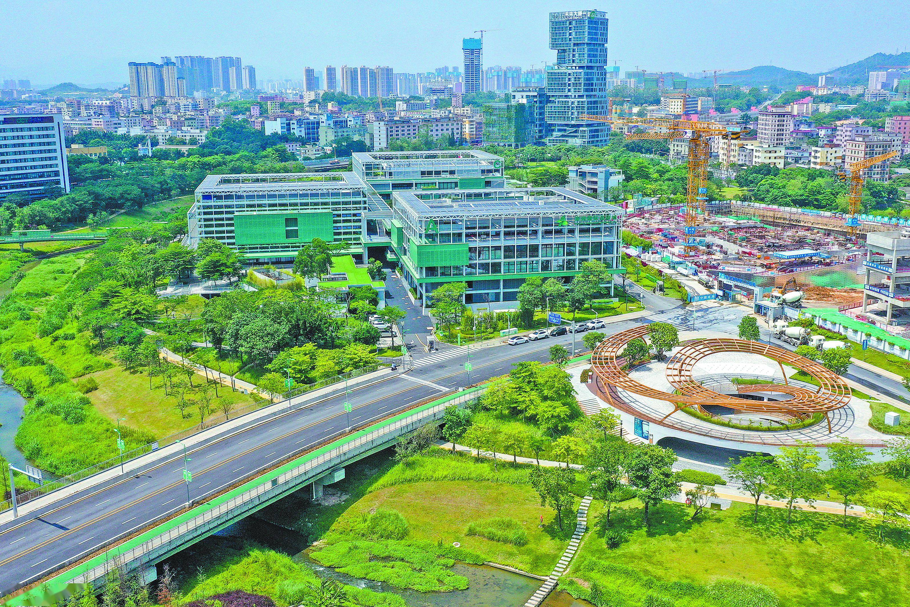 最新长线发展战略,深圳龙岗哪里有女的