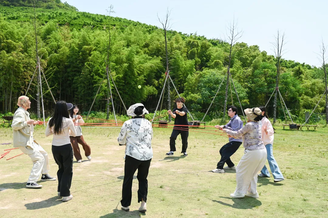 全国茶楼信息网官网，茶文化数字门户的权威指南