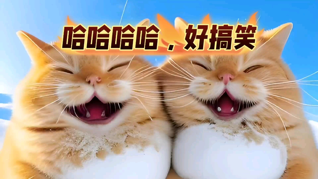 大学生暗号大全：从入门到精通的搞笑接头暗号指南