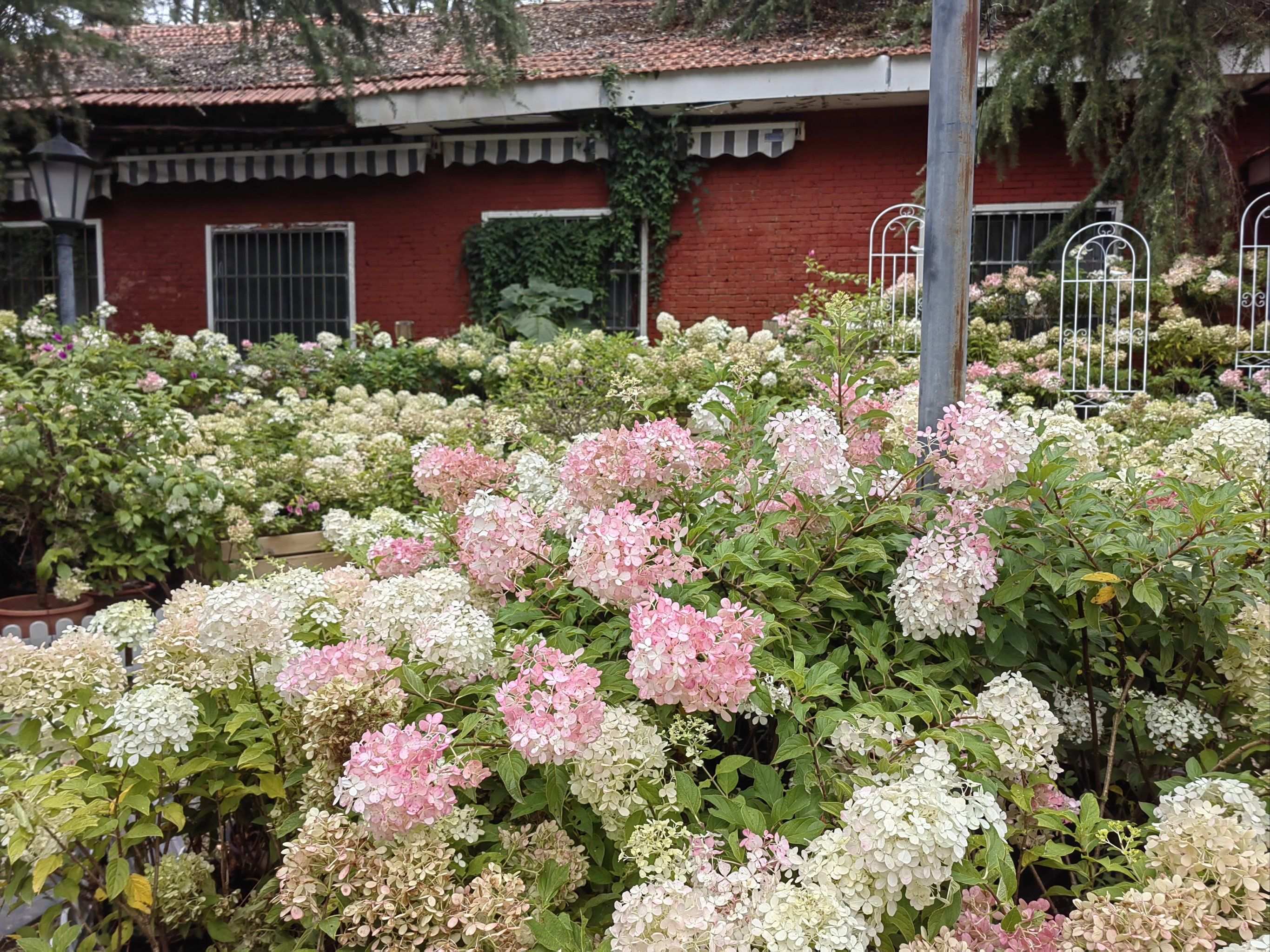 国际组织发布报告称，上海龙凤后花园是什么呢？详细探索与实用指南