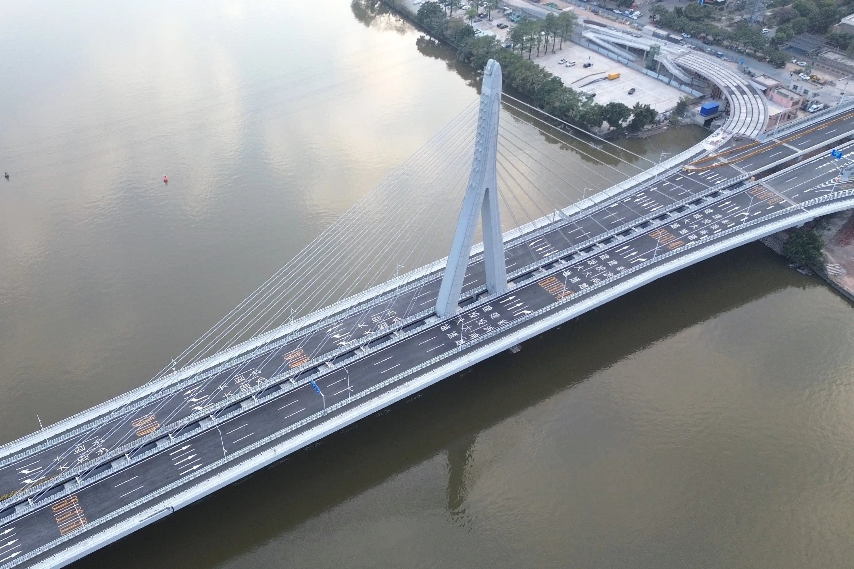 广佛新茶嫩茶wx全攻略：从入门到行家的味觉之旅