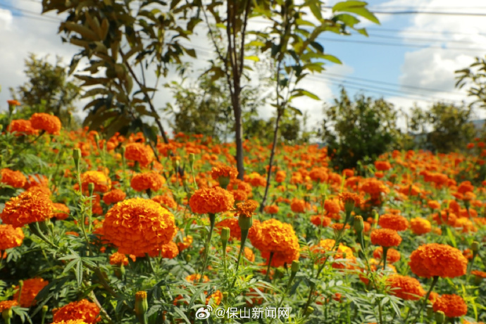 保山同城300元1小时服务