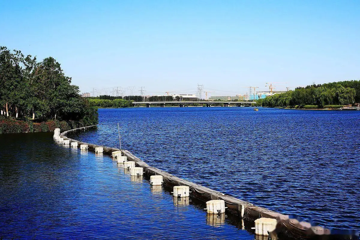 聚凤阁信息交流：解码新时代商业社交生态的破局之道