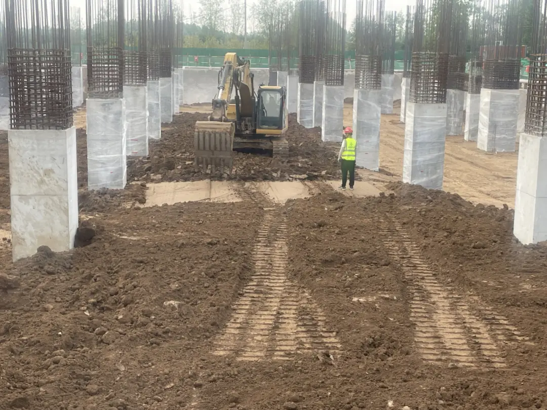 社会影响：美女大学生特殊按摩 实测有效技巧与安全指南🔥
