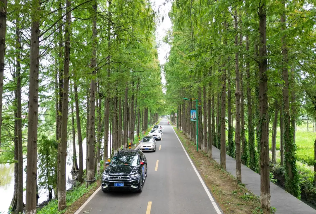 乌鲁木齐服务微信怎么找？3个避坑技巧省50%时间