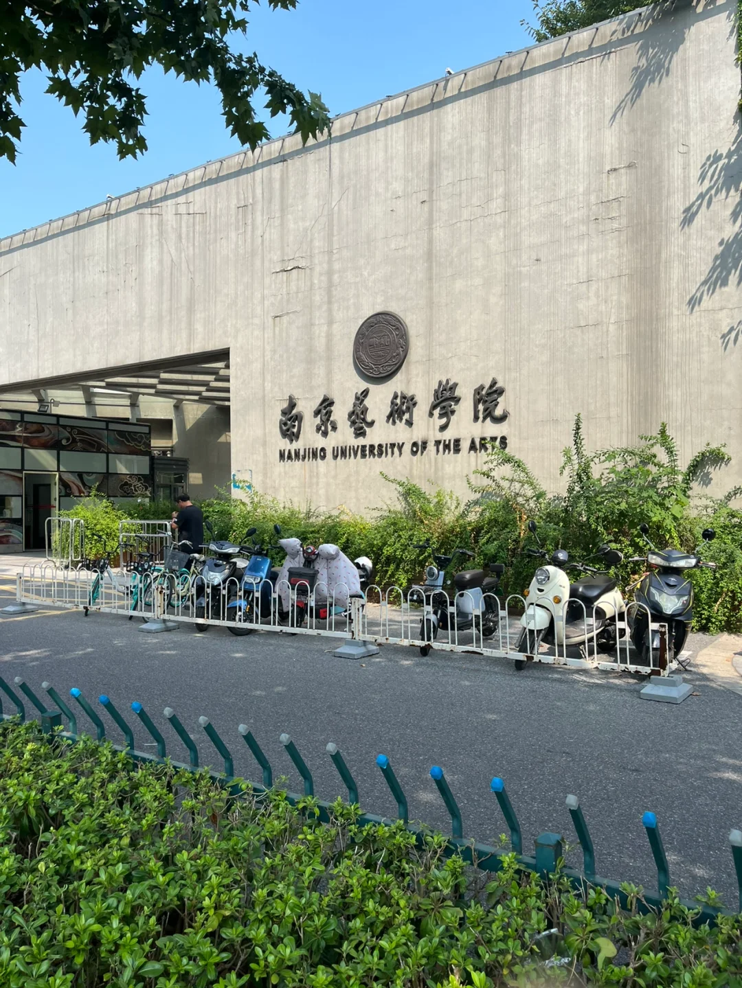 南京艺术学院大三生存指南：从迷茫到蜕变的300天全攻略