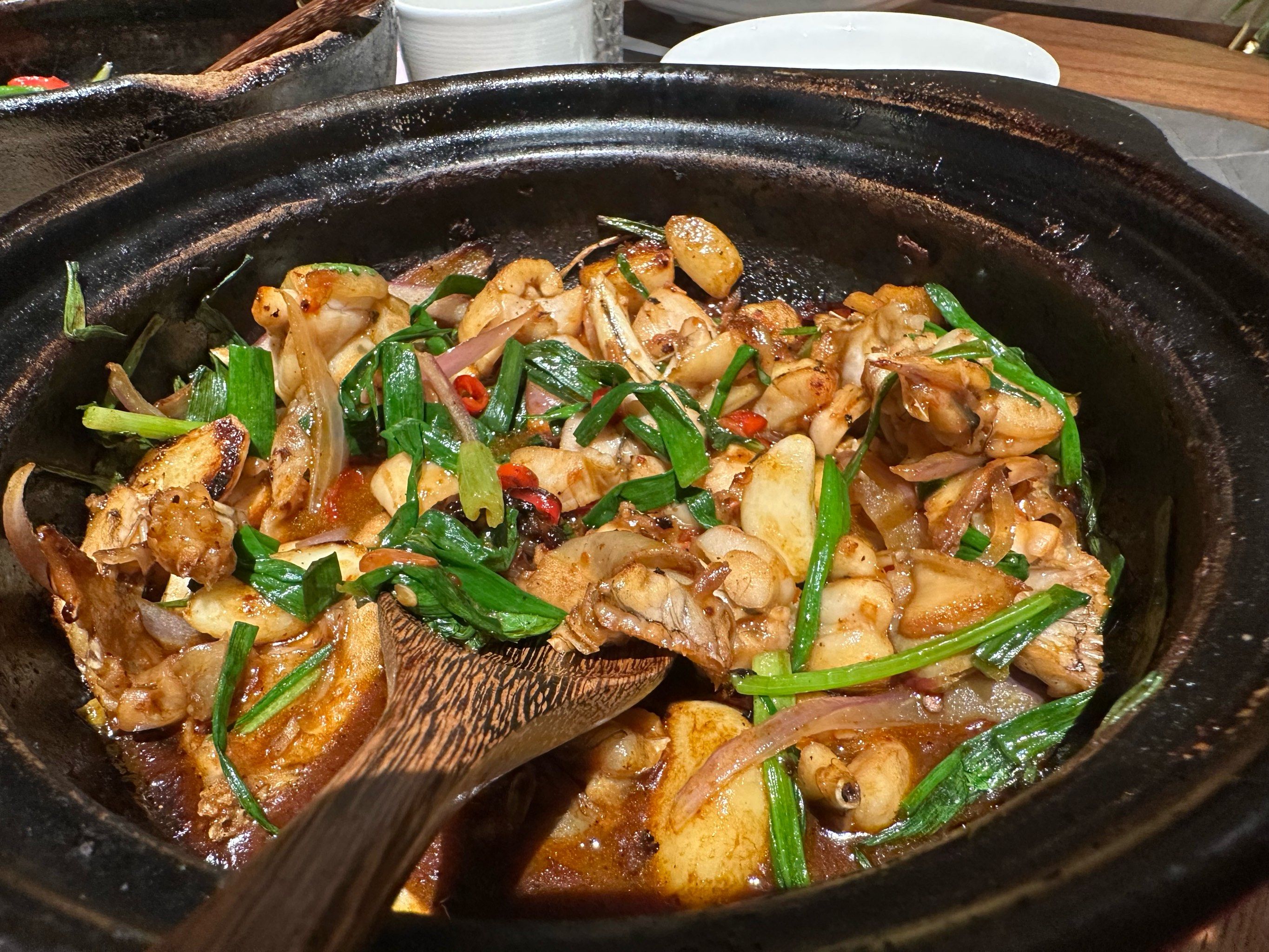 与你号品茶：从入门到痴迷的味觉朝圣之路