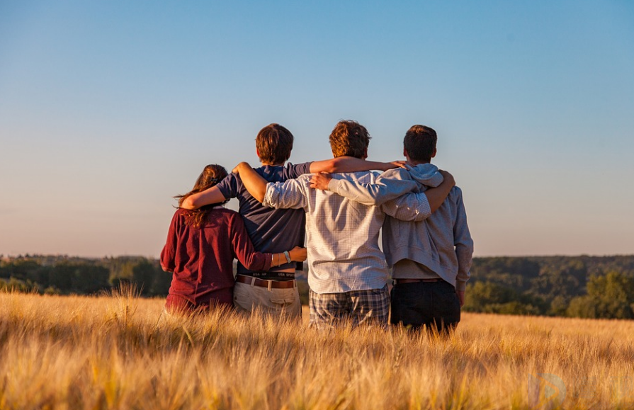 Soul社交暗号全解析，灵魂共鸣的秘密密码