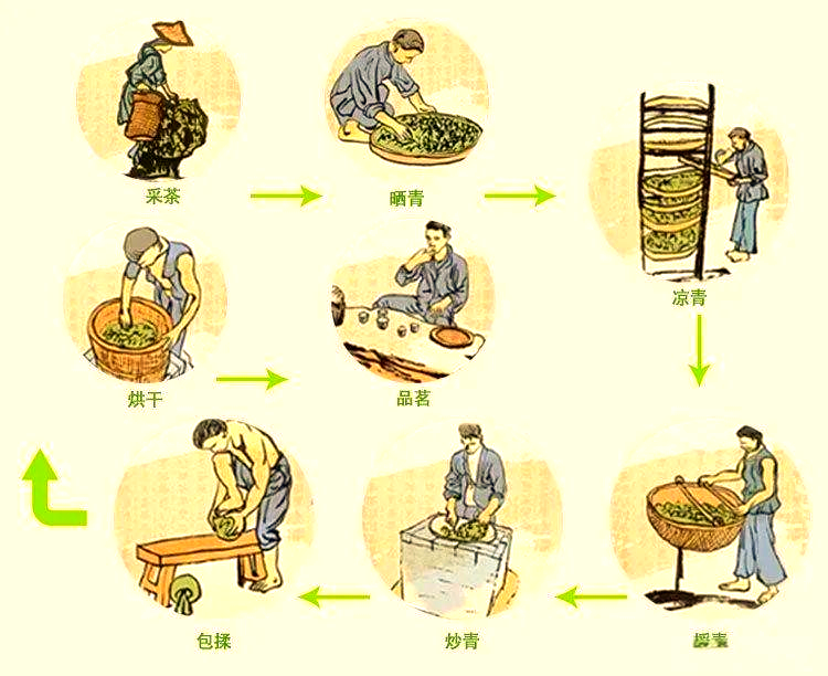 与你约茶：从入门到享受的全面指南