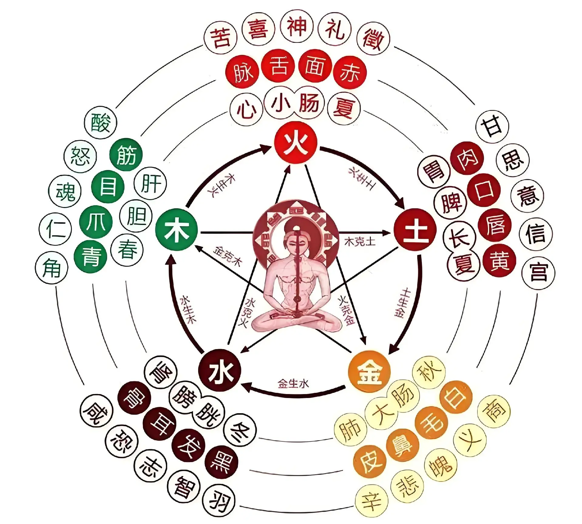 15元快餐能火多久？解读低价餐饮的生存法则与三大转型路径
