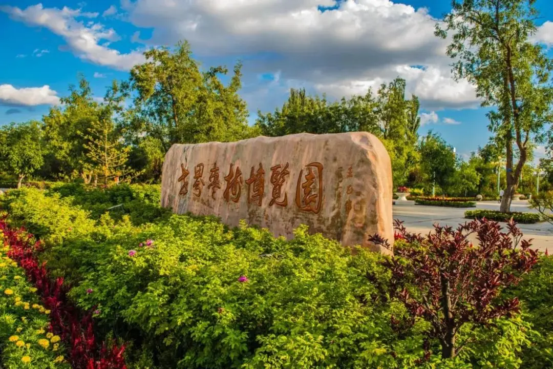 宁夏灵武北门妹子：一座小城的烟火气与青春印记