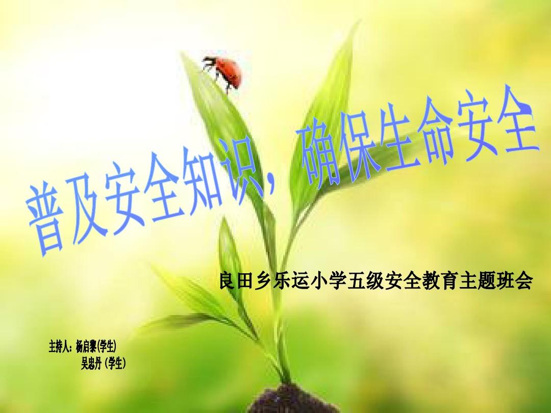 东郊到家安全吗_深度解析服务隐患与避坑指南