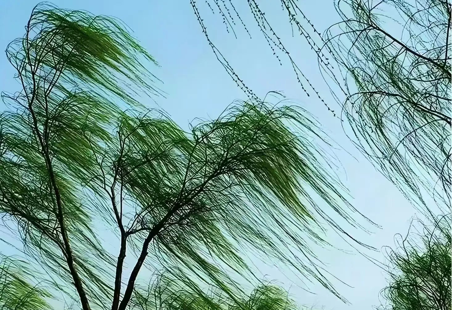 气象预警：济南哪里有服务地方能真正满足本地人与游客的双重期待