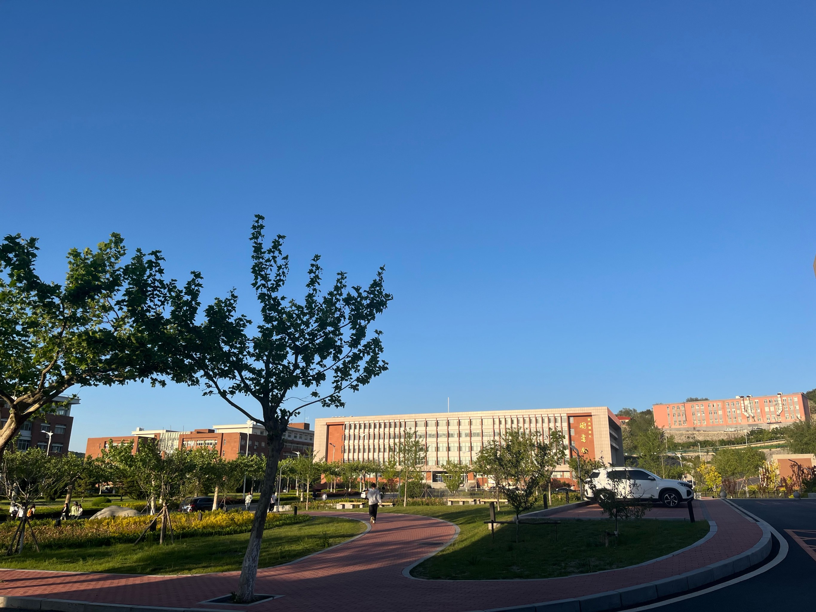 当代大学校园暗号进化史揭秘校门口那些神秘搭讪信号的演变历程