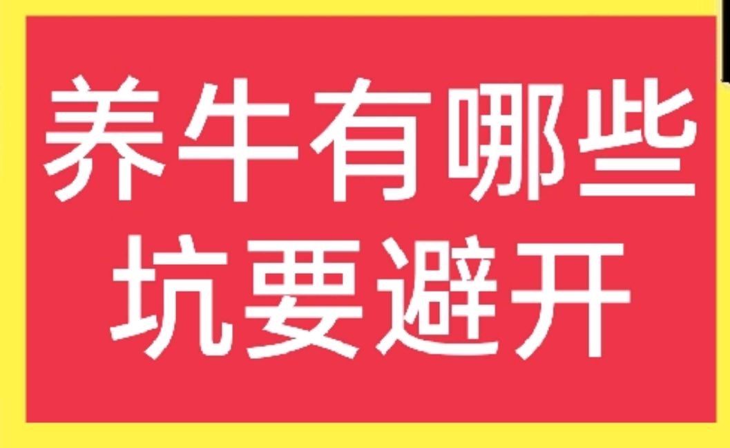 深夜饿急如何省200元？揭秘500元快餐电话的避坑全流程