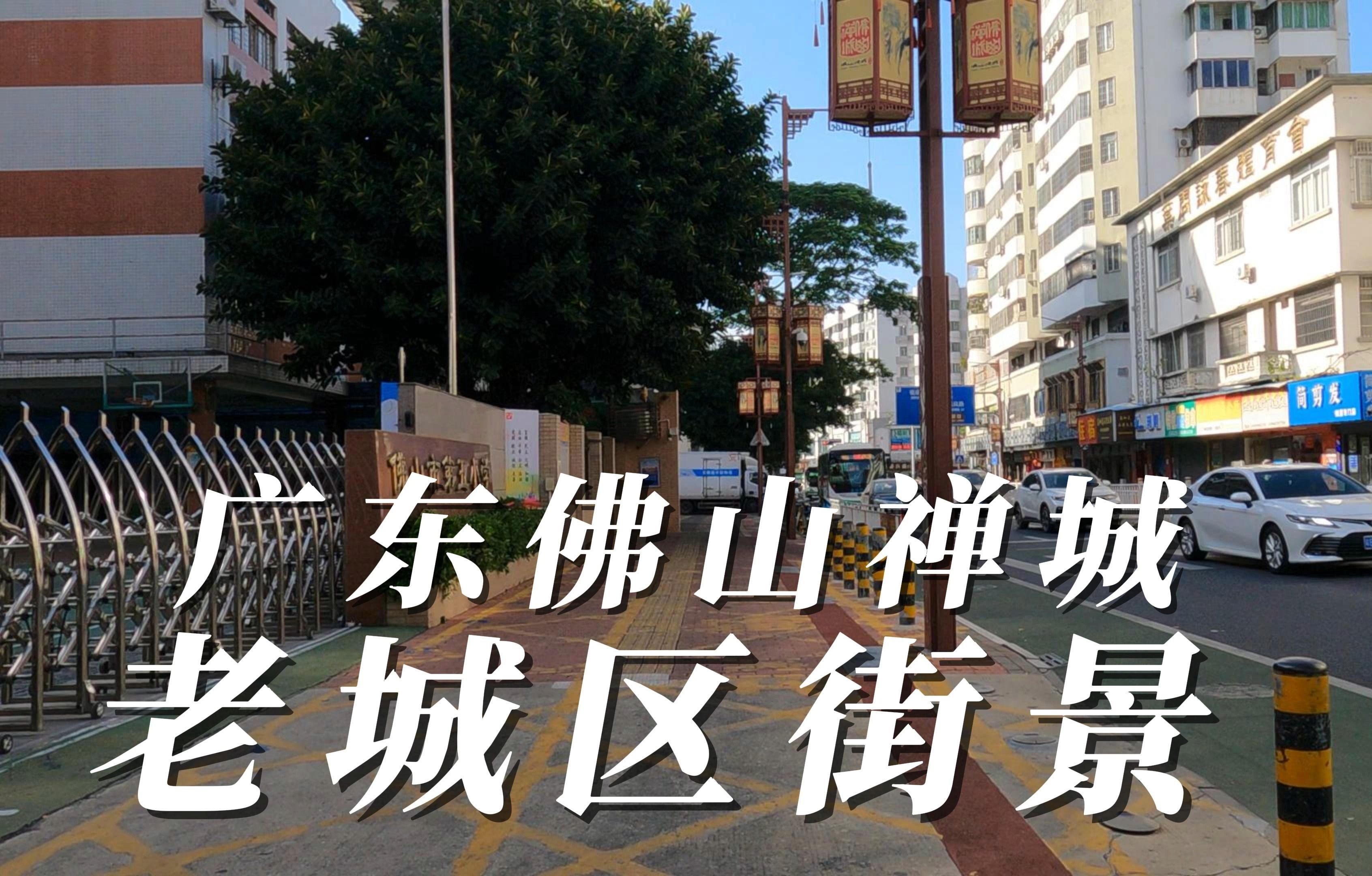 佛山禅城小巷子的物价秘密,探访岭南老城的烟火气与性价比