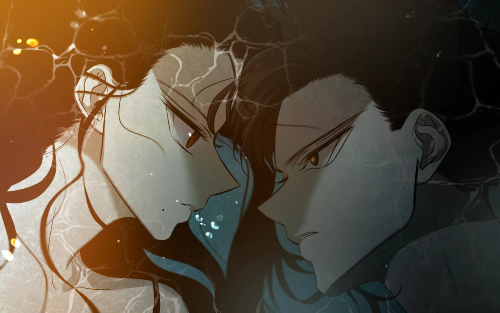 如何避开茶市高价陷阱？武汉茶友网直供产地省30%成本