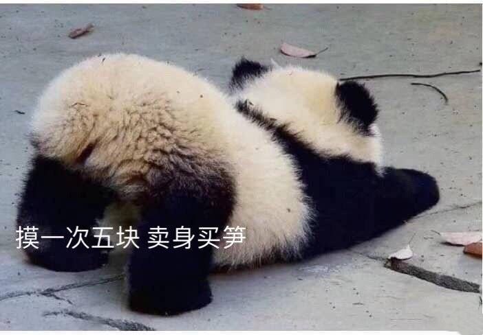 卖身女人的真实电话号码能随便获取吗？