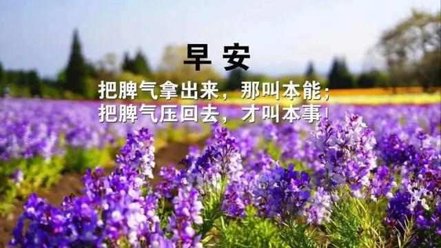 开封站胡同百元探秘,老城烟火与性价比之选