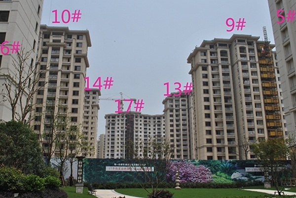 长沙品茶工作室入门指南：从新手到行家的秘密