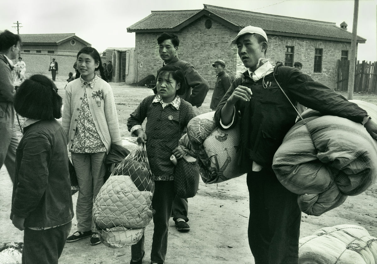 1000元交易背后的社会镜像与二维码时代的情感荒漠观察