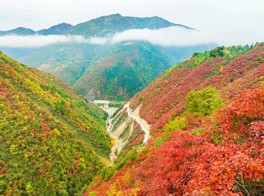 近期发生的一起事件让人们震惊,汉中小姐在哪里能找到真实可靠的信息来源？