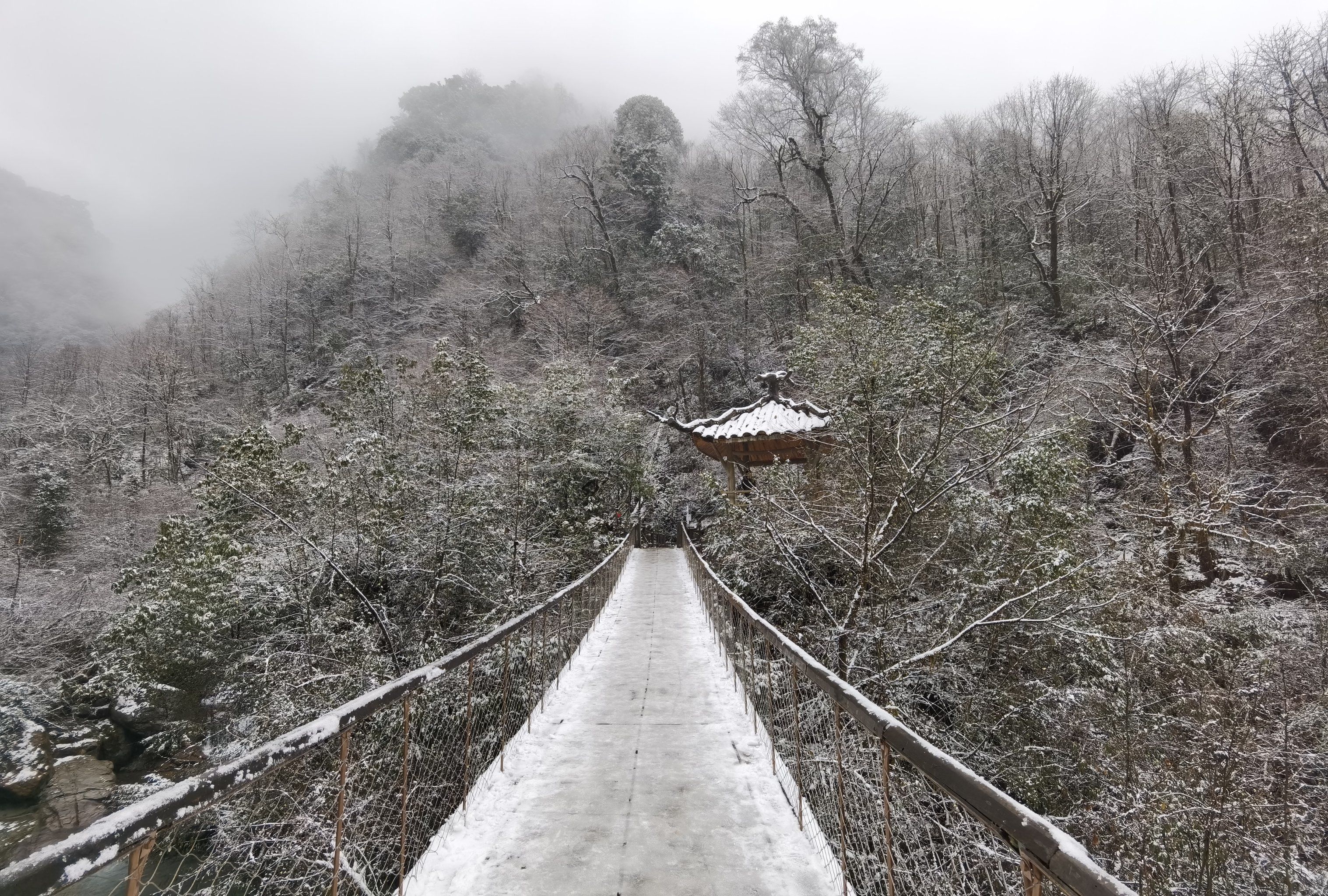 东莞小巷秘境探访,寻味市井烟火气
