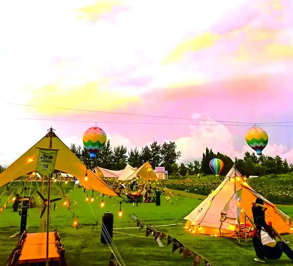 3公里经济圈大战：同城上门空降平台如何重塑城市服务格局