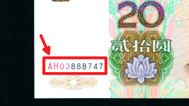 农村小树林20元特色服务探秘,乡土经济中的隐秘消费链