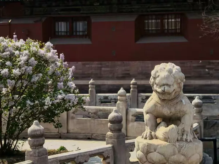 最新研究揭示寻花阁CM究竟是怎样的平台 个人站长如何利用它快速提升流量