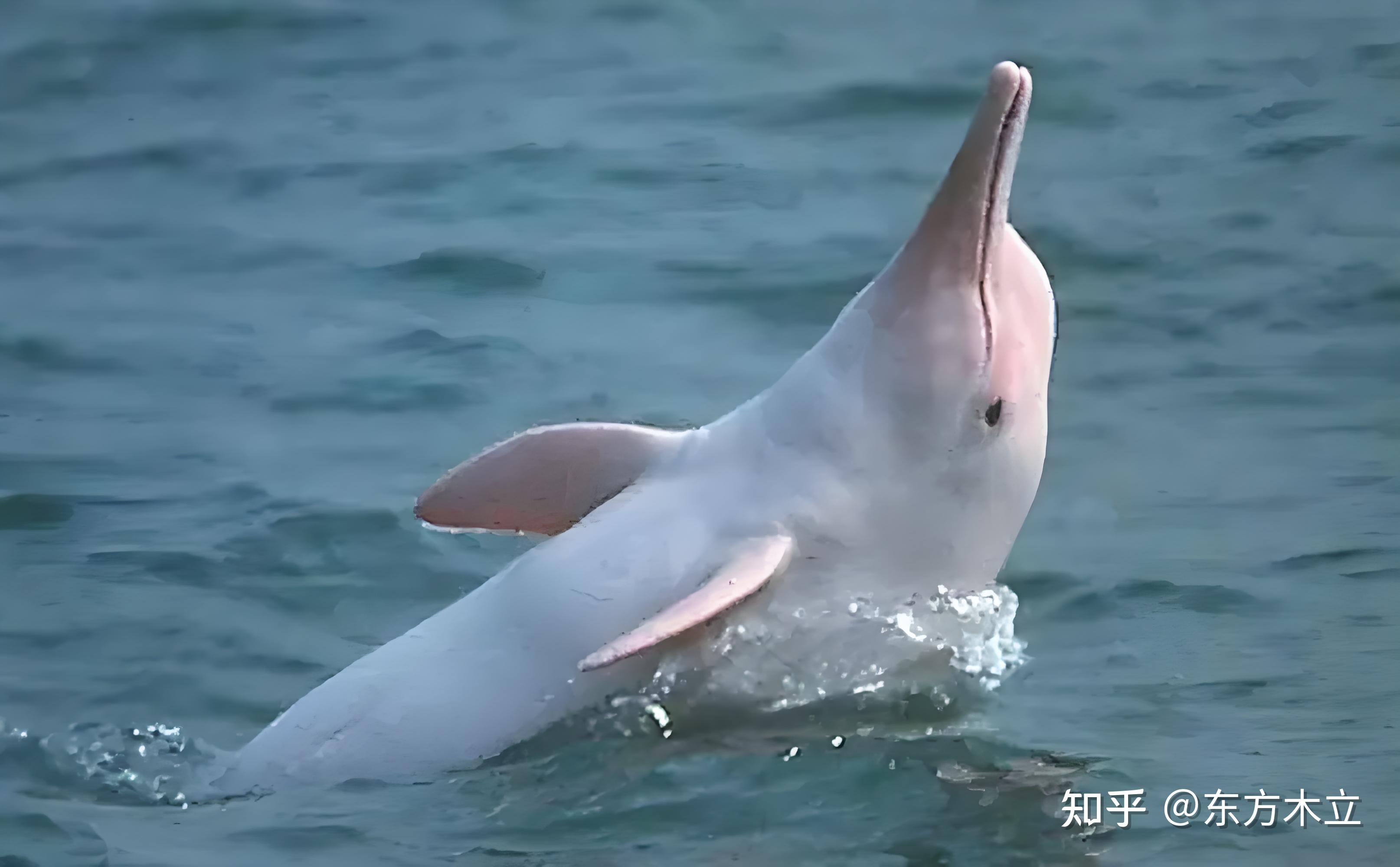 上海火车站周边探秘与旅游攻略指南