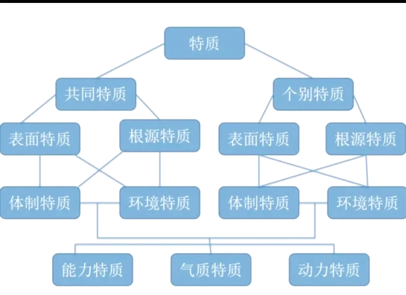 干美女少妇究竟如何吸引人？现代审美与社会心理深层解析