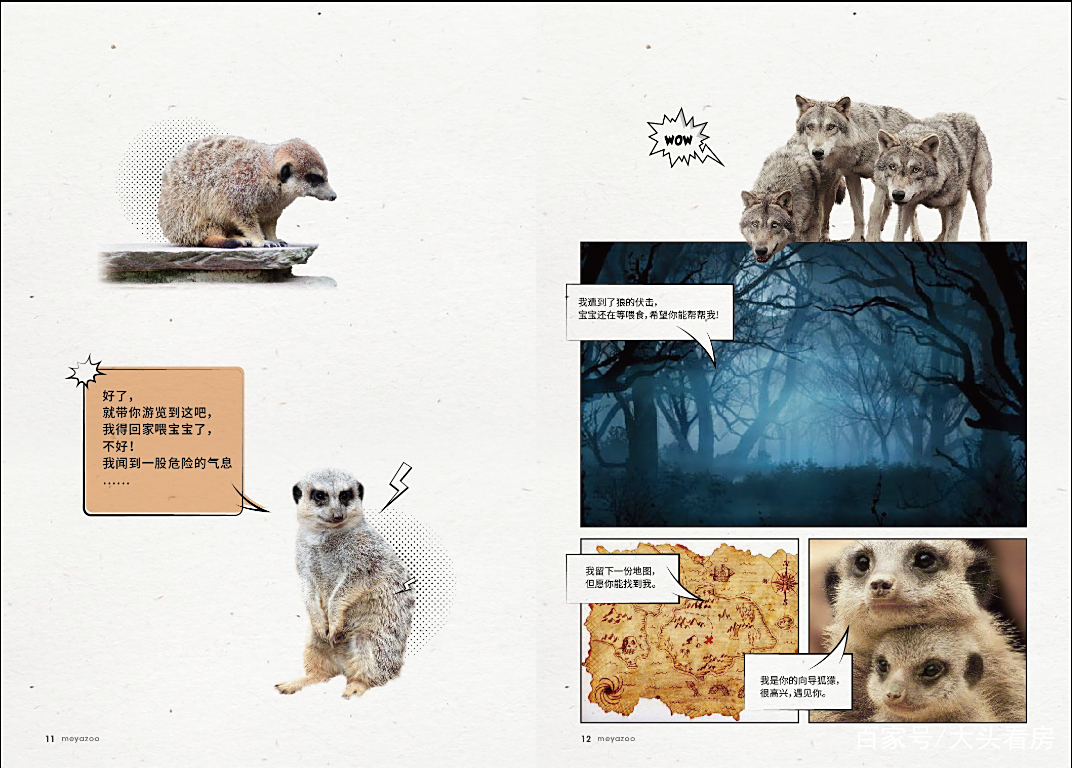 武汉品茶工作室的文化探秘与消费指南,一盏茶香里的城市慢生活