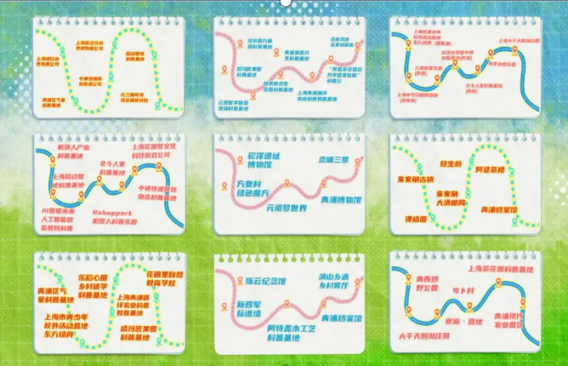 一杯茶小海棠全国论坛：普通人如何熟练掌握茶文化的技巧