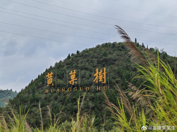 安顺品茶工作室体验分享